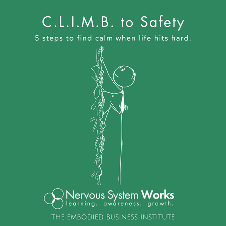 C.L.I.M.B. to Safety