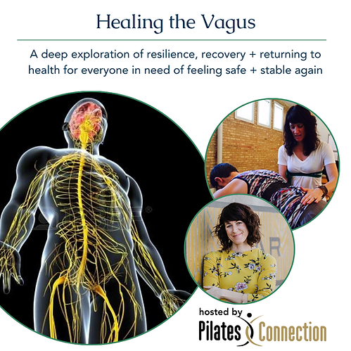 PilatesConnectionWebsiteImage (1).png