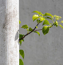 IMG_9226 (002)_edited_edited.jpg