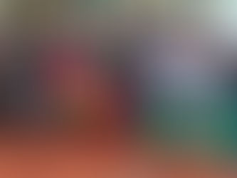 Sem acesso na Suíça: comitiva brasileira impedida na COP 11