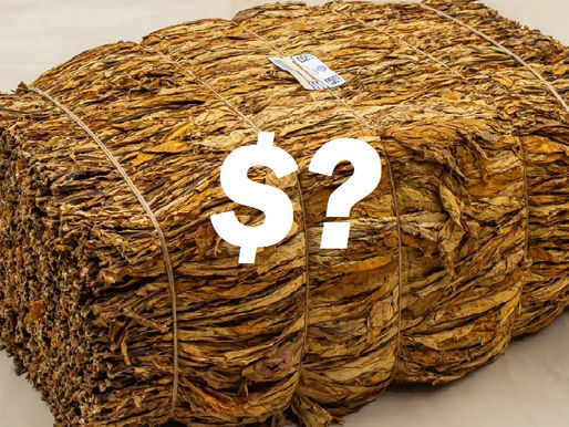 Quantos reais vale cada Kg de tabaco e subprodutos no Brasil?