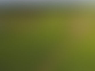 Preço na safra 2024 foi melhor por ter menos tabaco em oferta