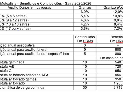 Taxas e benefícios da Afubra são mantidos para safra 2025/2026