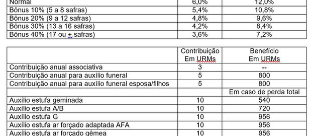 Taxas e benefícios da Afubra são mantidos para safra 2025/2026
