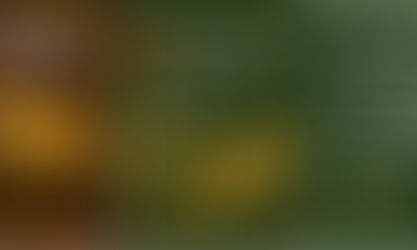 Exportações seguem em alta, apesar de tarifaço dos EUA