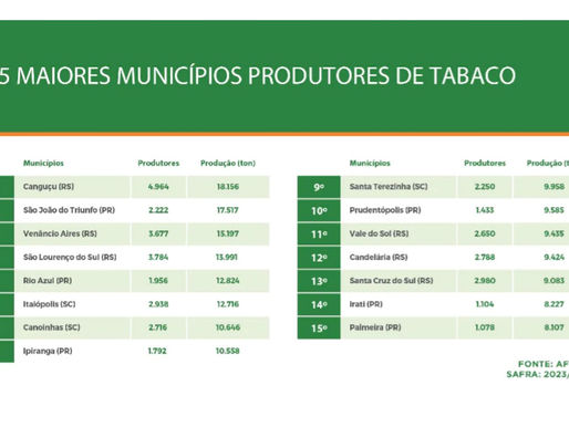 509 municípios produziram total de 508 mil ton na safra passada