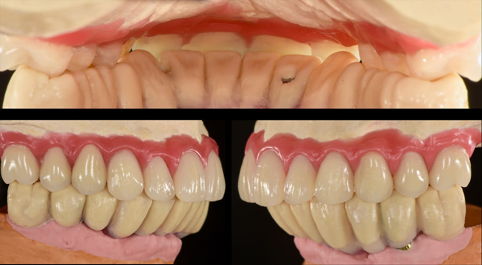 Image courtesy of: Gabriele Gori