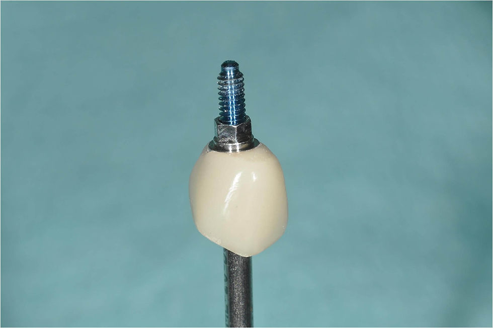 Image courtesy of: Dr. Giuseppe Pellitteri