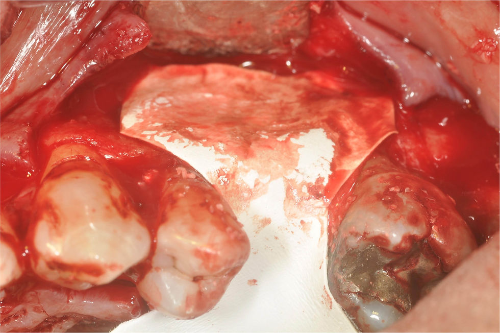 Image courtesy of: Dr. Giuseppe Pellitteri