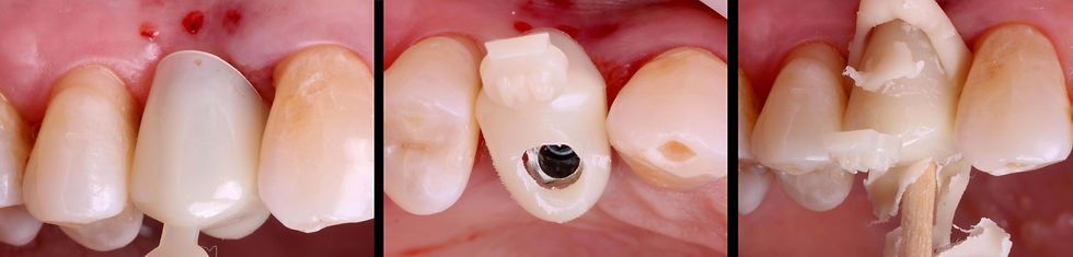 Image courtesy of: Dr. Andrea D. Di Domenico