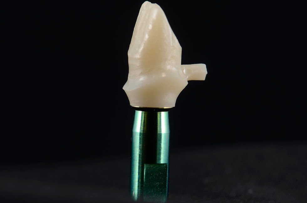 Image courtesy of: Dr. Paolo Nardinocchi