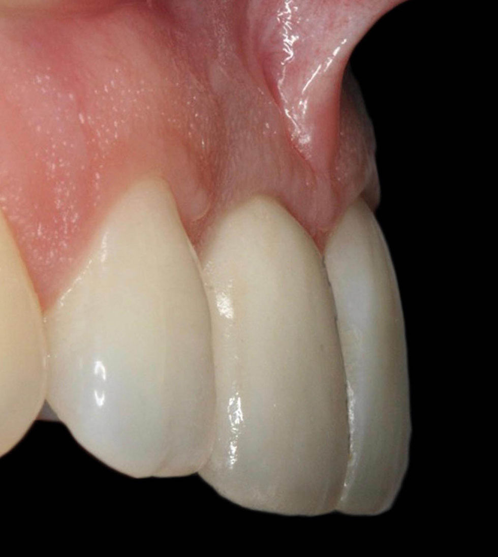 Image courtesy of: Prof. Berta GarcÃa Mira