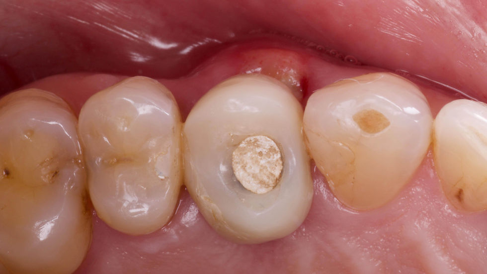 Image courtesy of: Dr. Andrea D. Di Domenico