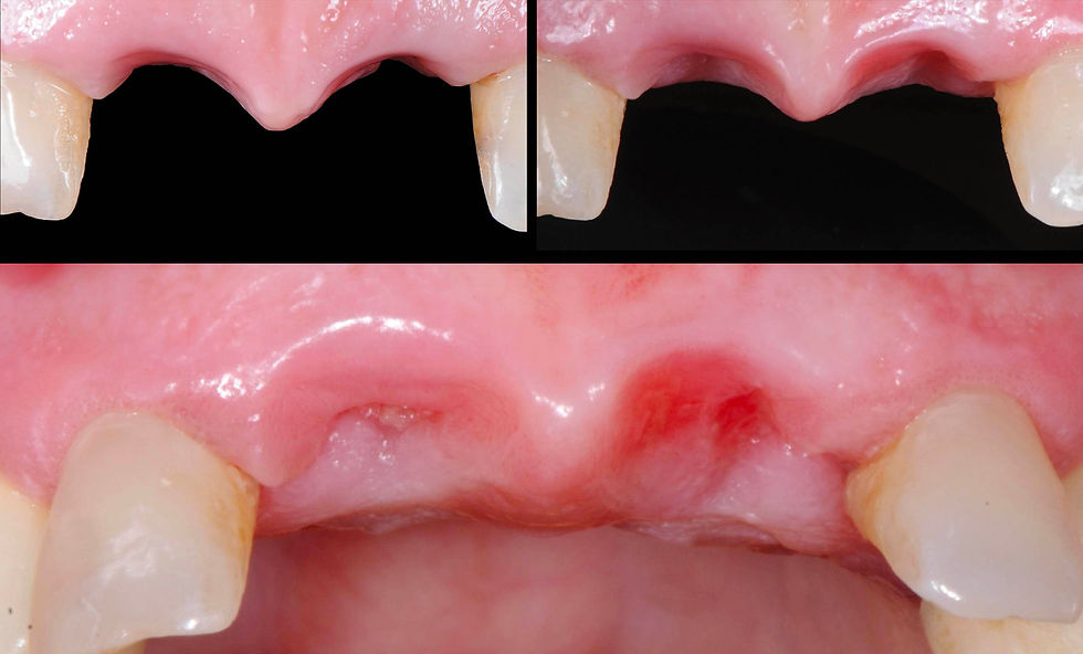 Image courtesy of: Dr. Stefano Conti