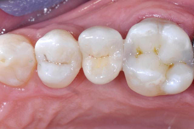 Image courtesy of: Dr. Giuseppe Pellitteri