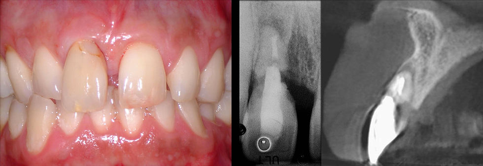 Image courtesy of: Dr. Fabio Gorni.