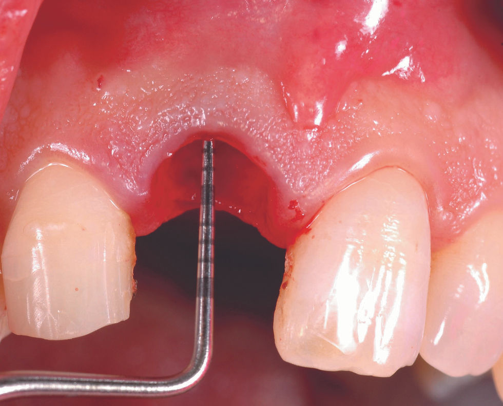 Image courtesy of: Dr. Roberto Luongo