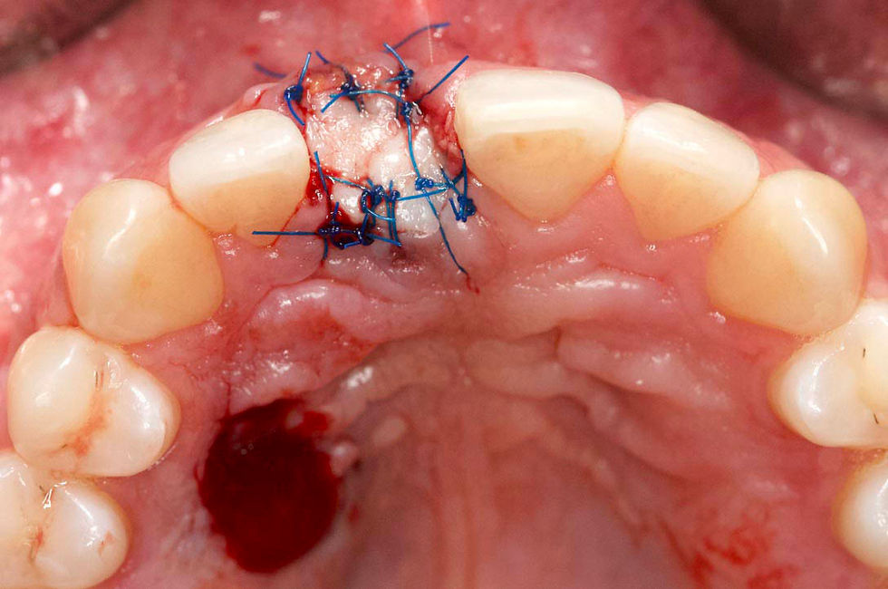 Image courtesy of: Prof. Berta GarcÃa Mira