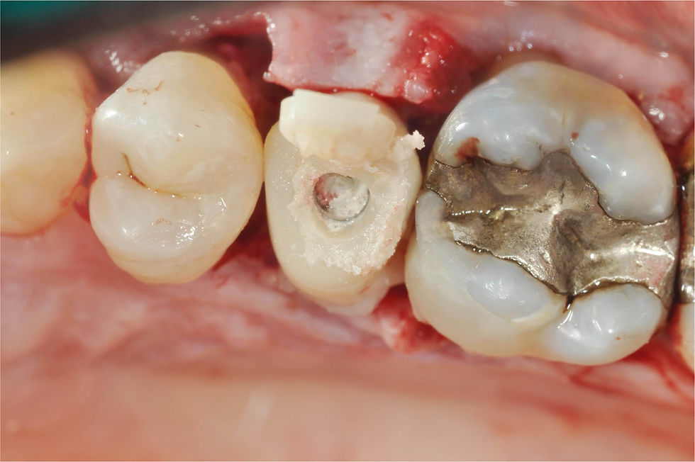 Image courtesy of: Dr. Giuseppe Pellitteri