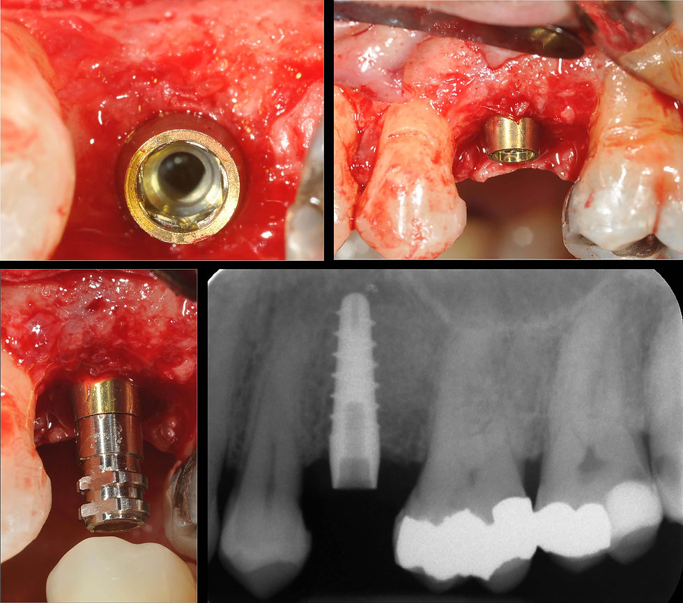 Image courtesy of: Dr. Giuseppe Pellitteri