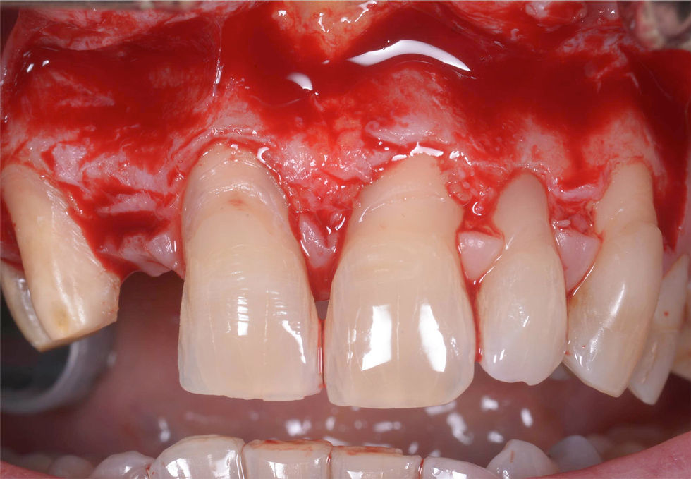 Image courtesy of: Dr. Giuseppe Pellitteri