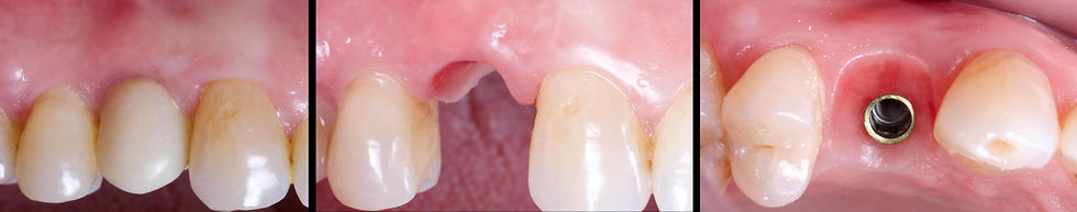 Image courtesy of: Dr. Andrea D. Di Domenico