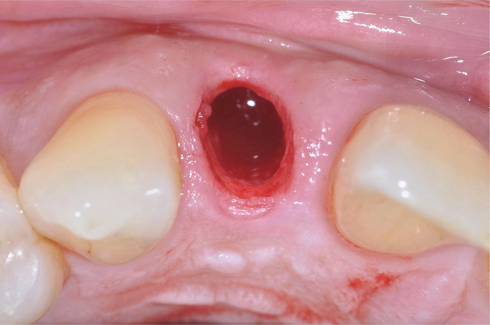 Image courtesy of: Dr. Giuseppe Pellitteri