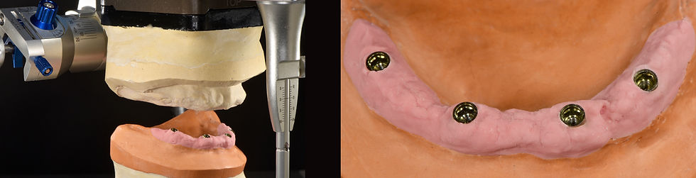 Image courtesy of: Gabriele Gori