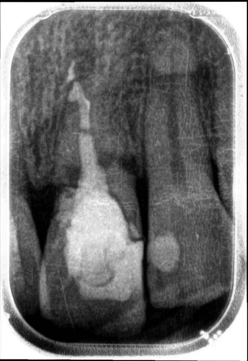 Image courtesy of: Dr. Paolo Nardinocchi