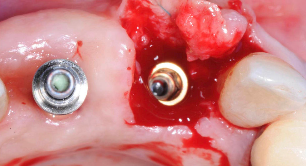 Image courtesy of: Dr. Stefano Conti