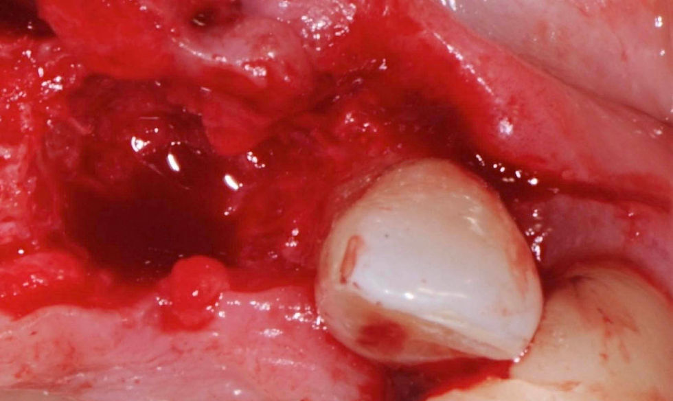 Image courtesy of: Dr. Stefano Conti