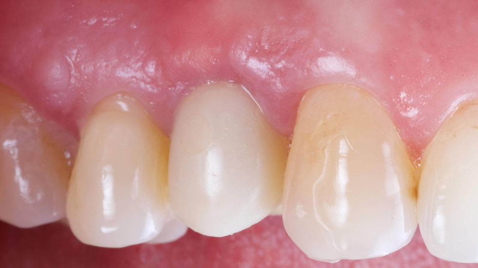 Image courtesy of: Dr. Andrea D. Di Domenico