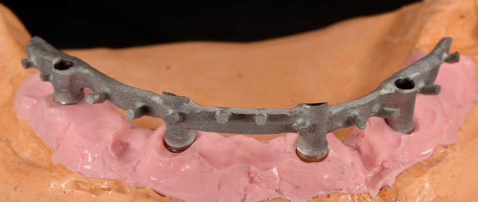 Image courtesy of: Gabriele Gori