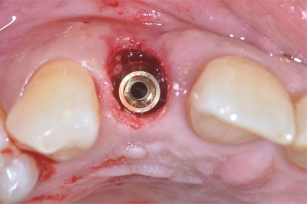 Image courtesy of: Dr. Giuseppe Pellitteri