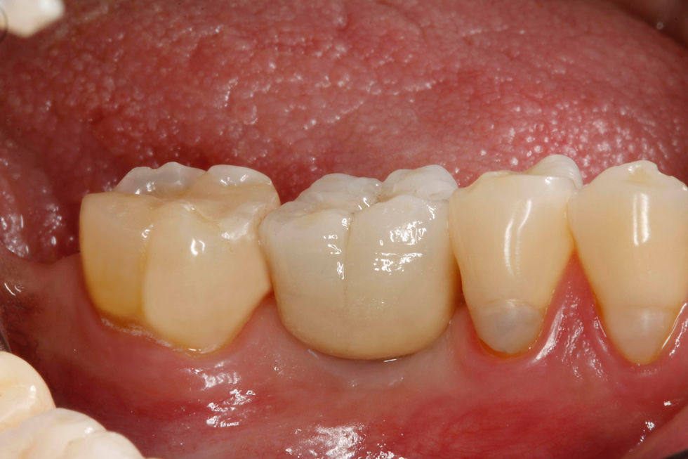 Image courtesy of: Dr. Paolo Nardinocchi