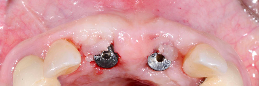 Image courtesy of: Dr. Stefano Conti