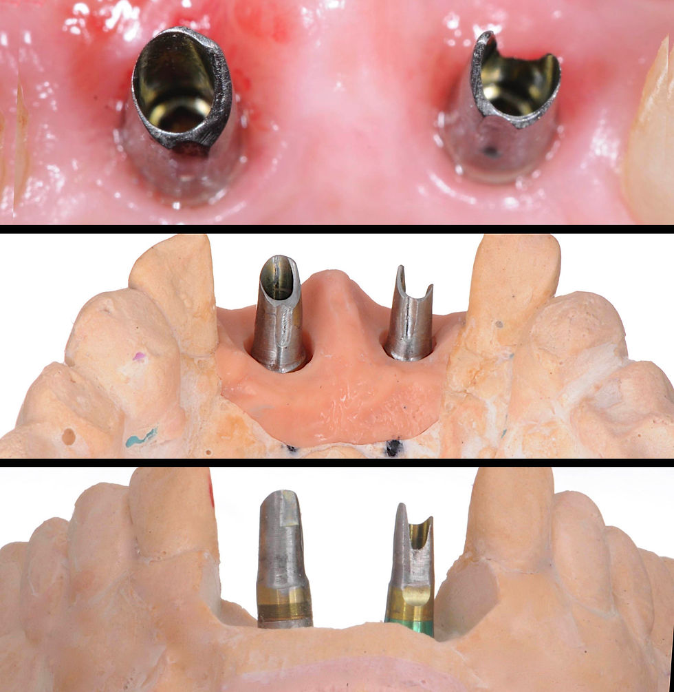 Image courtesy of: Dr. Stefano Conti