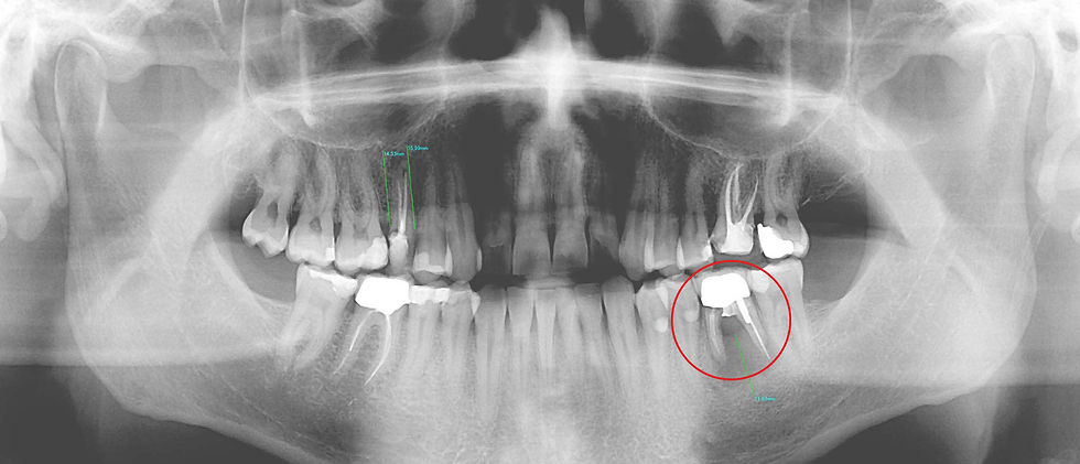 Image courtesy of: Dr. Paolo Nardinocchi