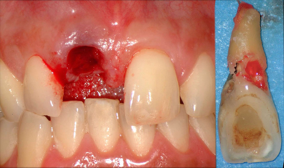 Image courtesy of: Dr. Fabio Gorni.