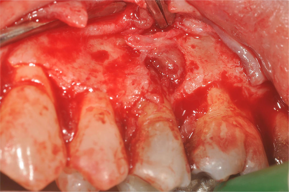 Image courtesy of: Dr. Giuseppe Pellitteri