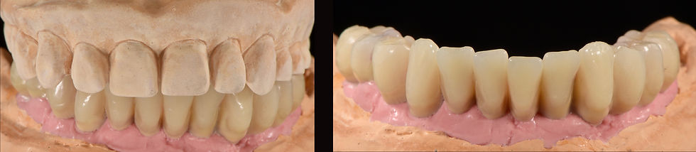 Image courtesy of: Gabriele Gori