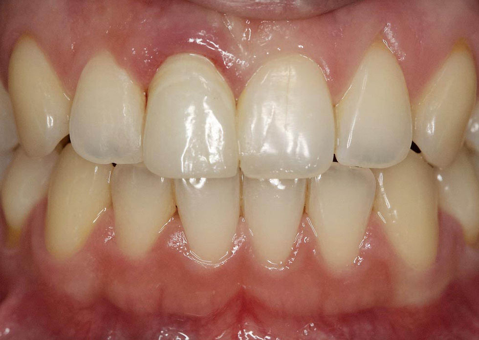 Image courtesy of: Prof. Berta GarcÃa Mira