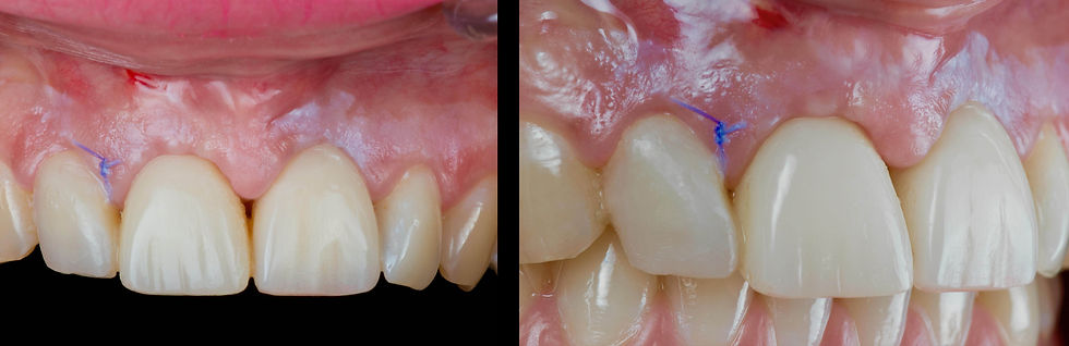 Image courtesy of: Dr. Andrea D. Di Domenico