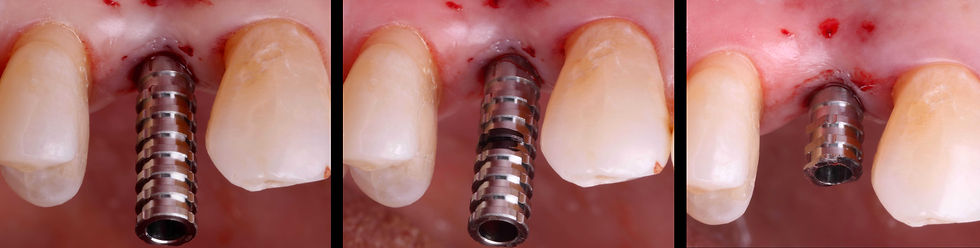 Image courtesy of: Dr. Andrea D. Di Domenico