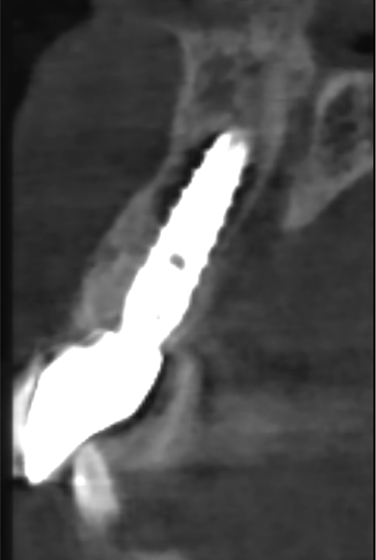 Image courtesy: Dr. Roberto Luongo