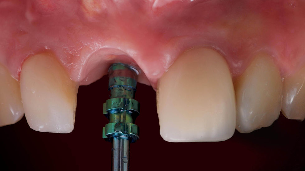 Image courtesy of: Dr. Andrea D. Di Domenico