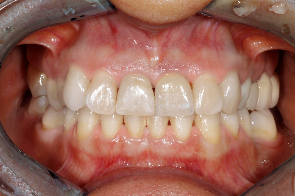 Image courtesy of: Dr. Paolo Nardinocchi