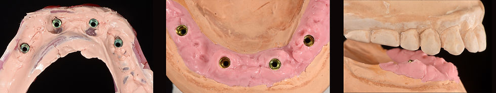 Image courtesy of: Gabriele Gori