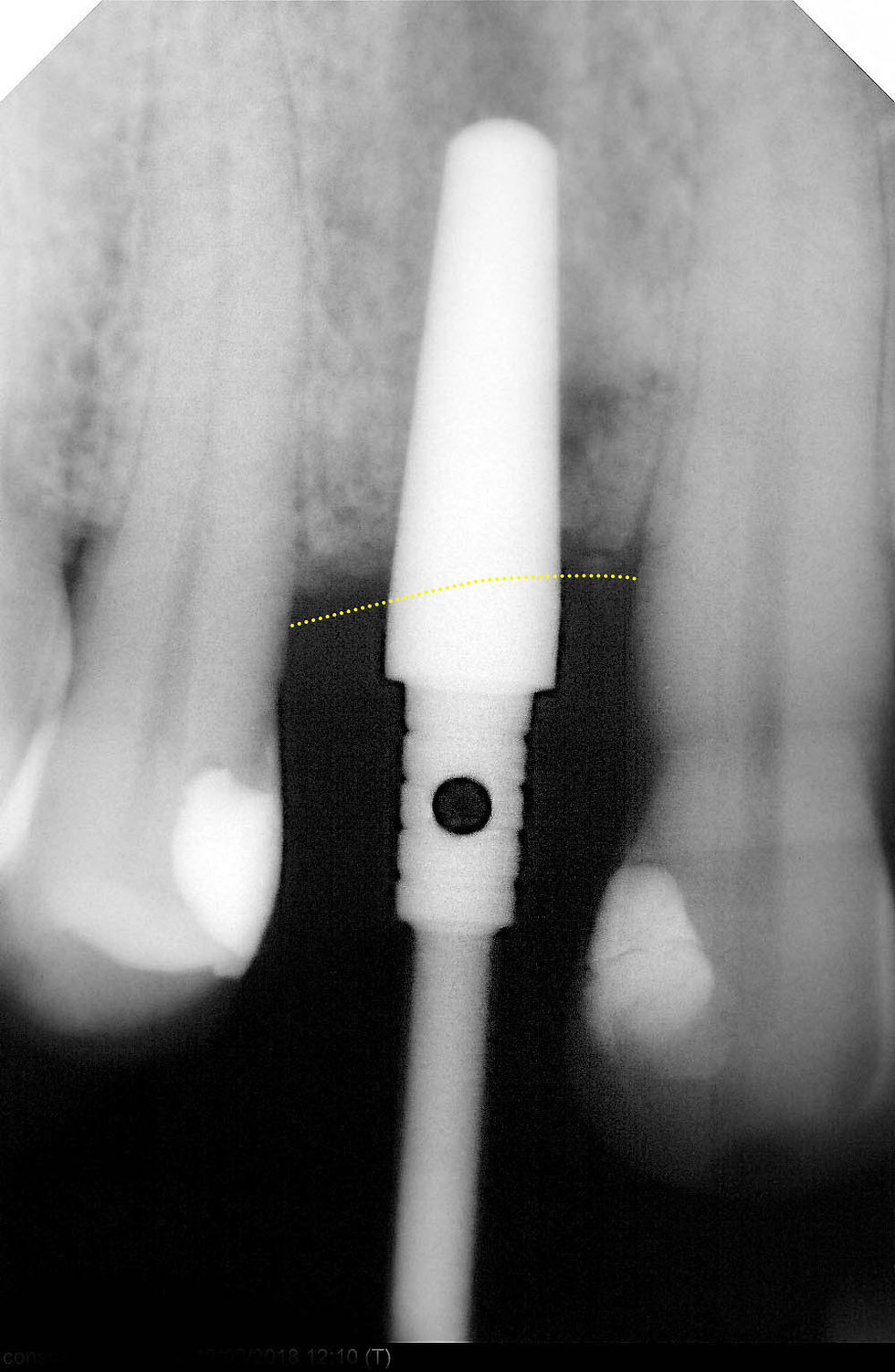 Image courtesy of: Dr. Andrea D. Di Domenico