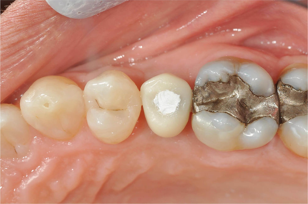 Image courtesy of: Dr. Giuseppe Pellitteri